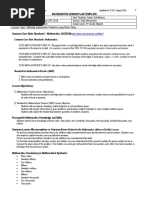 Mathematics Lesson Plan Template: Common Core State Standards-Mathematics