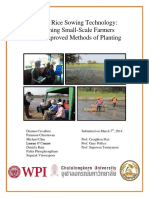 A New Rice Sowing Technology PDF