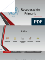 Presentacion Final PDF