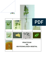 Cuaderno_Pract_Biotec_11_OCW.pdf