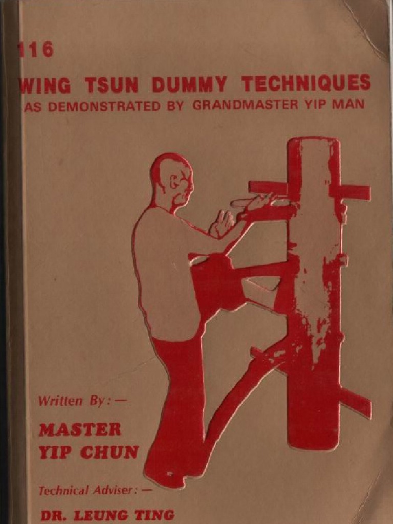 wing chun machine