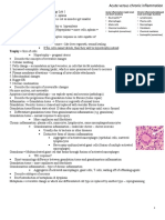 Oncology Week 1