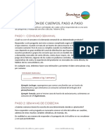 planificacion-paso-a-paso.pdf