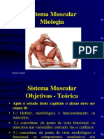 Sistema Muscular-Geral.pptx