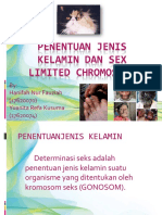 Penentuan Jenis Kelamin dan Sex Limited Kromosom