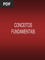 02._Conceitos_Fundamentais_(visao).pdf