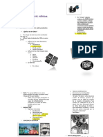 Estudio parcial 2 Siglo XX