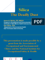 Silica: The Deadly Dust