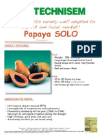 Papaya SOLO: A Small Fruits Variety Well Adapted To Export and Local Market!