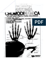 Anatomia filminas p. colorear.pdf