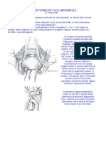 histerectomia-abdominala.pdf