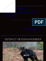 Extinct and Endangered Animal Species