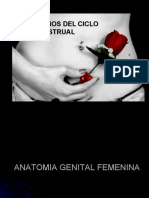 Trans Tor Nos Del Ciclo Menstrual