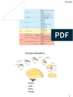 Turunan Ektoderm Mata