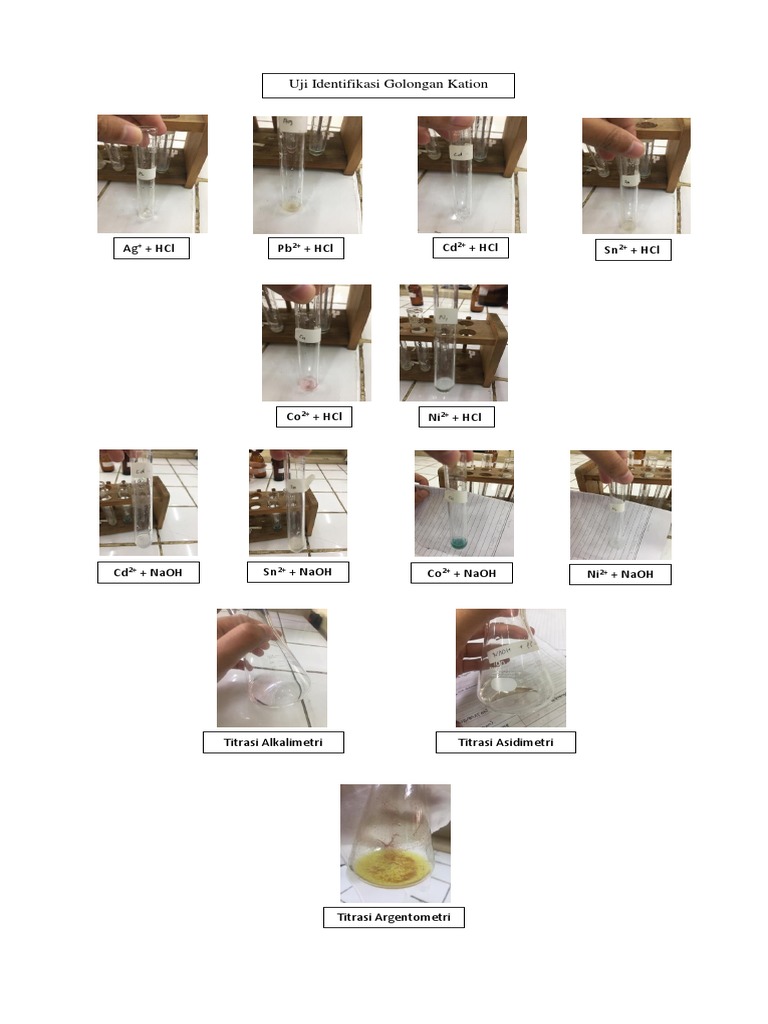 Kation Identification Tests | PDF