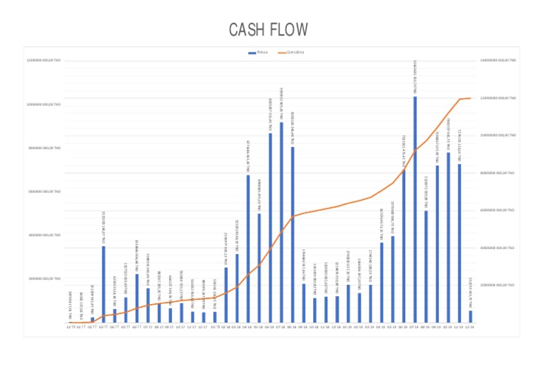 Cash Flow | PDF