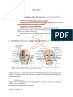 Anatomy - Face PDF