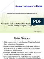 Breeding For Disease Resistance in Maize