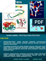 Protein-1.pptx