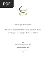 Raul_Faria.pdf