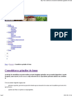 Consolidarea-Grinzilor-de-Lemn.pdf