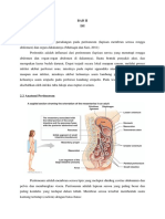 Bab II Anatomi Perineum