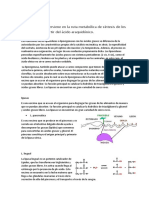 Lipoxigenasa