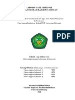 Format Laporan Hasil Observasi