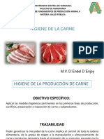 Clase Higiene de La Carne II PDF