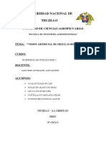 VISION ARTIFICIAL DE MEZCLAS DISPERSAS.docx
