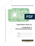 1534-RMA-Resumen N° 1 Números (7%).pdf