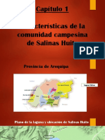 Características de la comunidad campesina de Salinas Huito