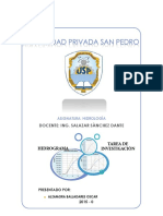 HIDROGRAMAS - TRABAJO DE INVESTIGACION.docx