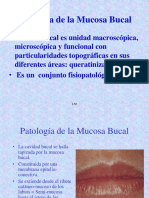 Patología de la Mucosa Bucal.pdf