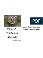 Ficha Tecnica de Hicotea