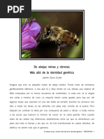 Abeja Negra Canaria