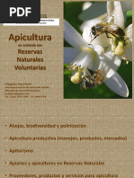 Apicultura Argentina