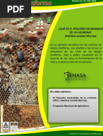 APICULTURA SENASA.pdf