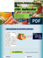 Seminario Nutrición Molecular