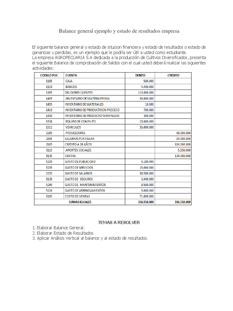 Ejemplo de Balance y Estado de Resultados | PDF | Finanzas y dinero