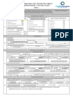 01formulario Rues Hoja 1 PN PJ PDF