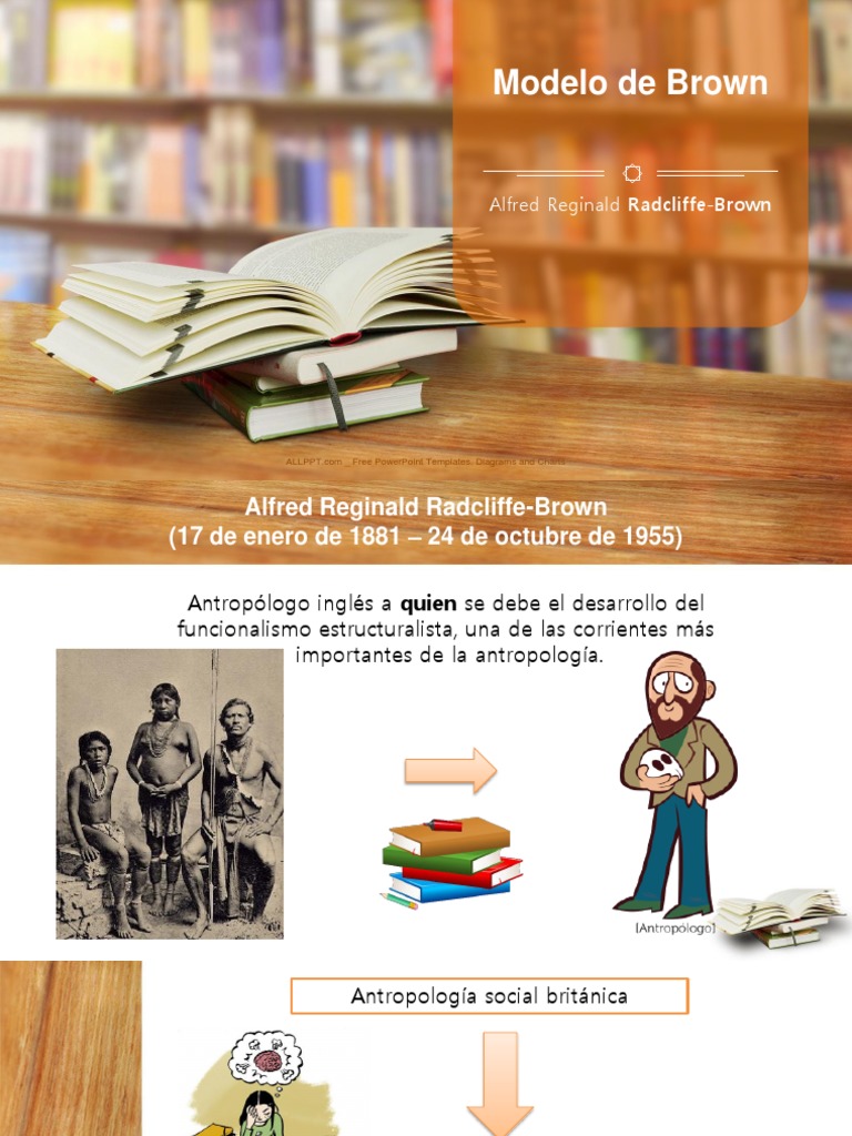 Modelo de Brown | PDF | Estructura social | Sociedad