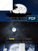 Romance Luna Luna 