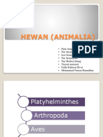 HEWAN (ANIMALIA).pptx