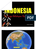 Indonesia: Surga Kehidupan Rayap
