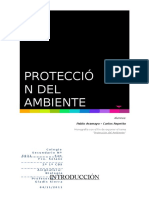 Monografía Protección del ambiente 2011