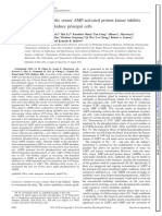 Activation of The Metabolic Sensor AMP-activated Protein Kinase Inhibits Aquaporin-2 Function in Kidney Principal Cells