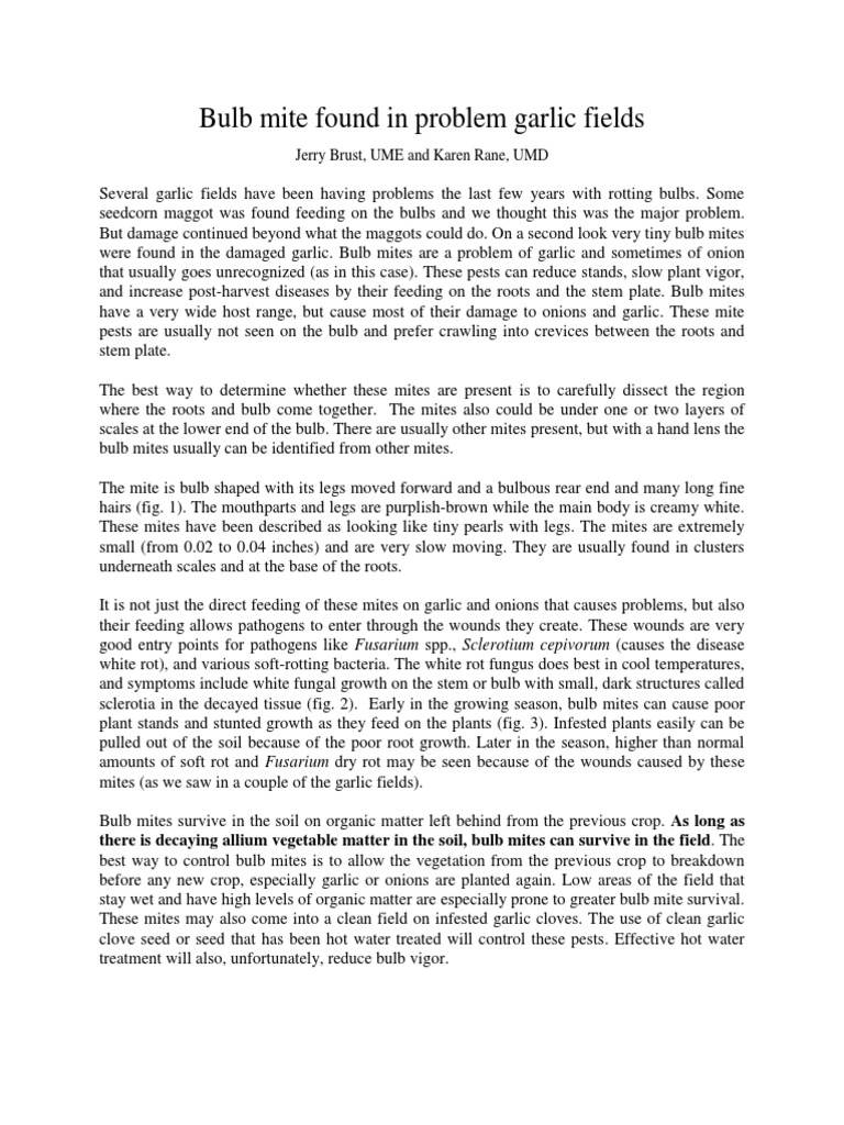 Bulb Mite Found in Garlic Fields PDF Plants Botany