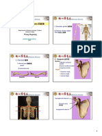 2015-16 1 synstem anatomy  os upper and lower limb for outstanting for international [兼容模式].pdf