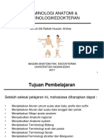 Terminologi 2017